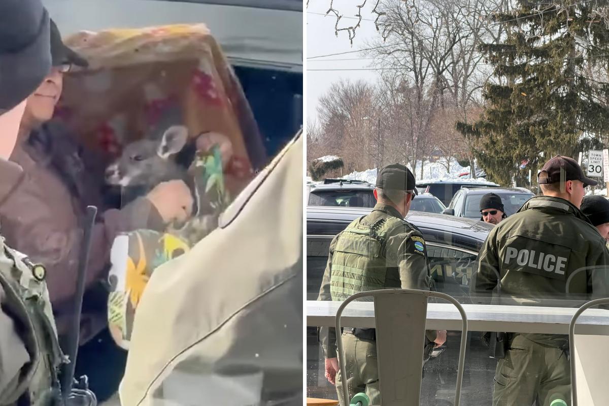 Bizarre encounter between feds, exotic-animal owner outside LI coffee shop