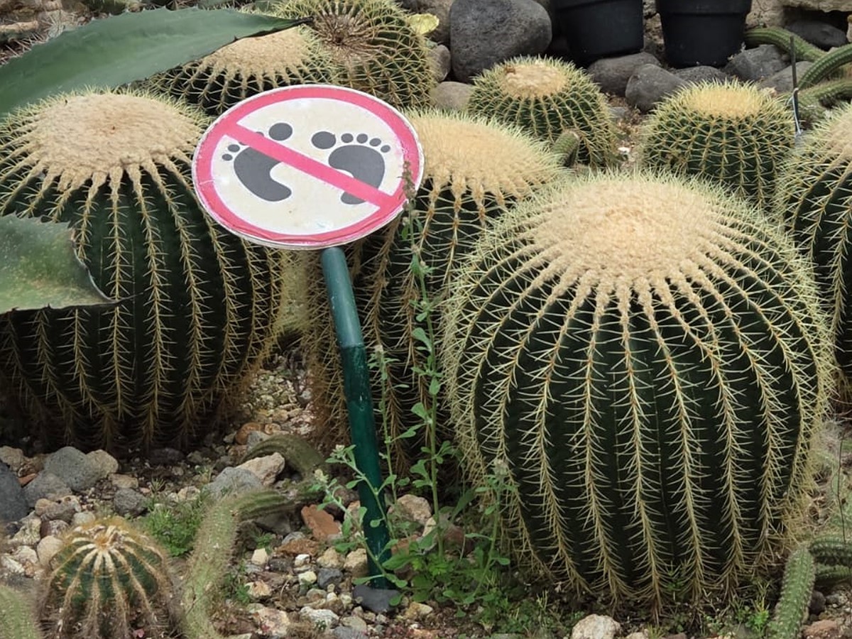 Silly signs: Explore the world through signage in January's photo challenge picks