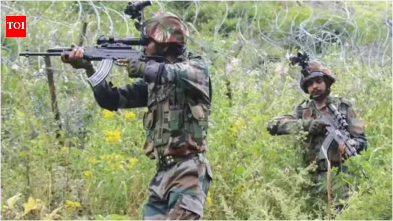 Operation Kiya: Two terrorists killed by security forces in J&amp;K's Udhampur