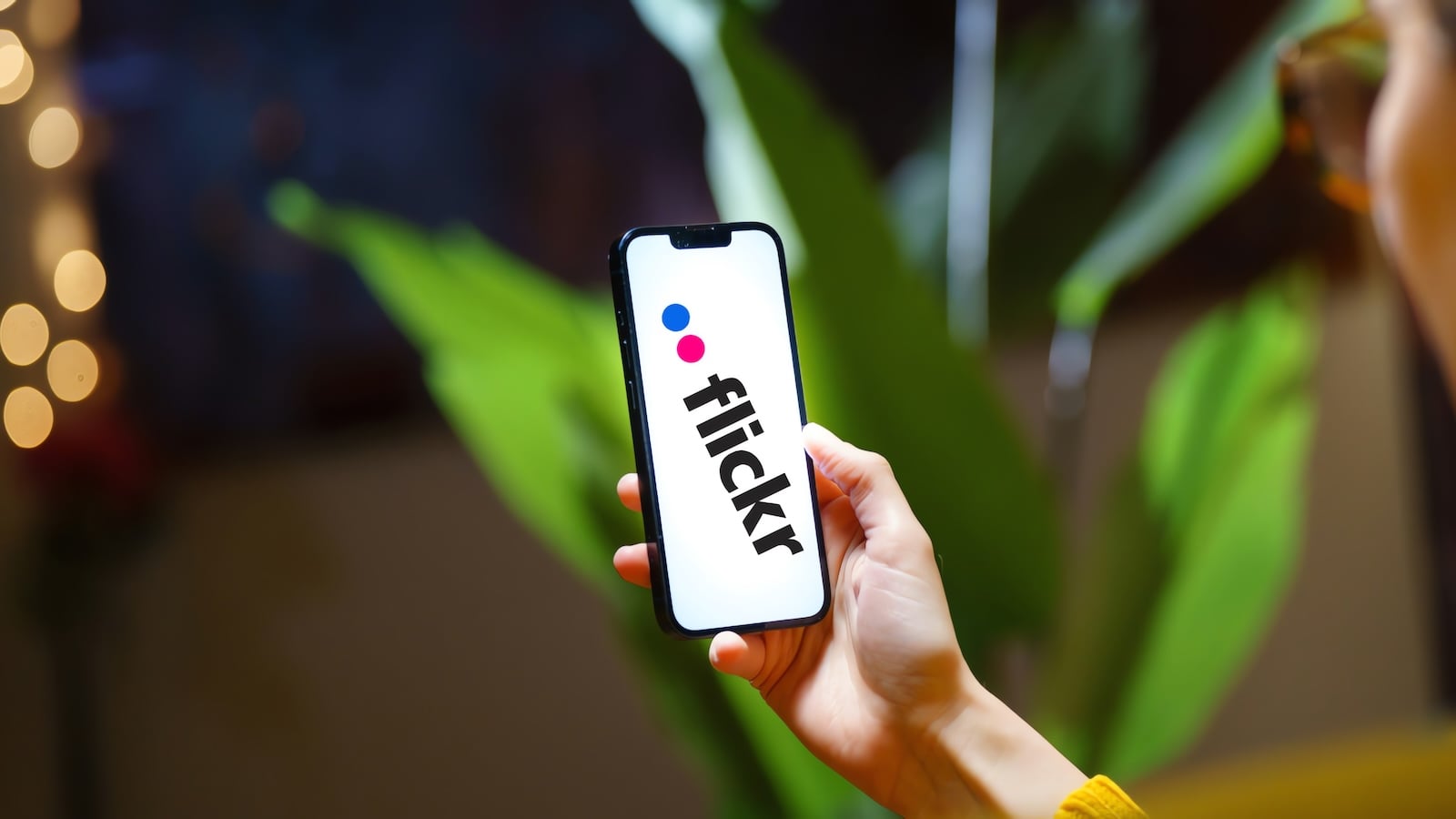 Flickr discloses potential data breach exposing users' names, emails