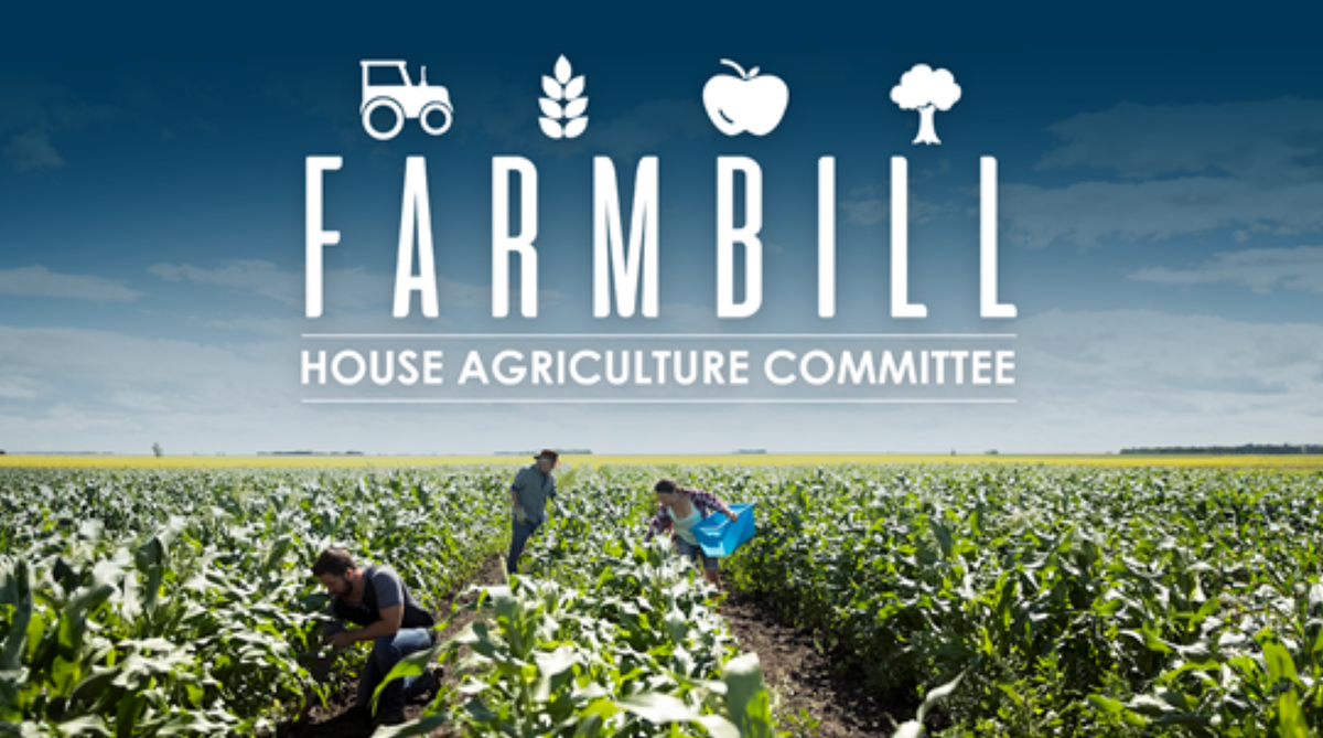 Sunday Edition: The Farm Bill