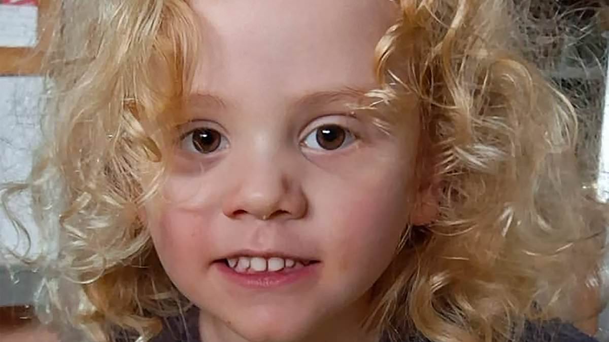 What chilling admission did South Australia Police make when they announced the search for missing four-year-old Gus Lamont had become a major crime investigation?