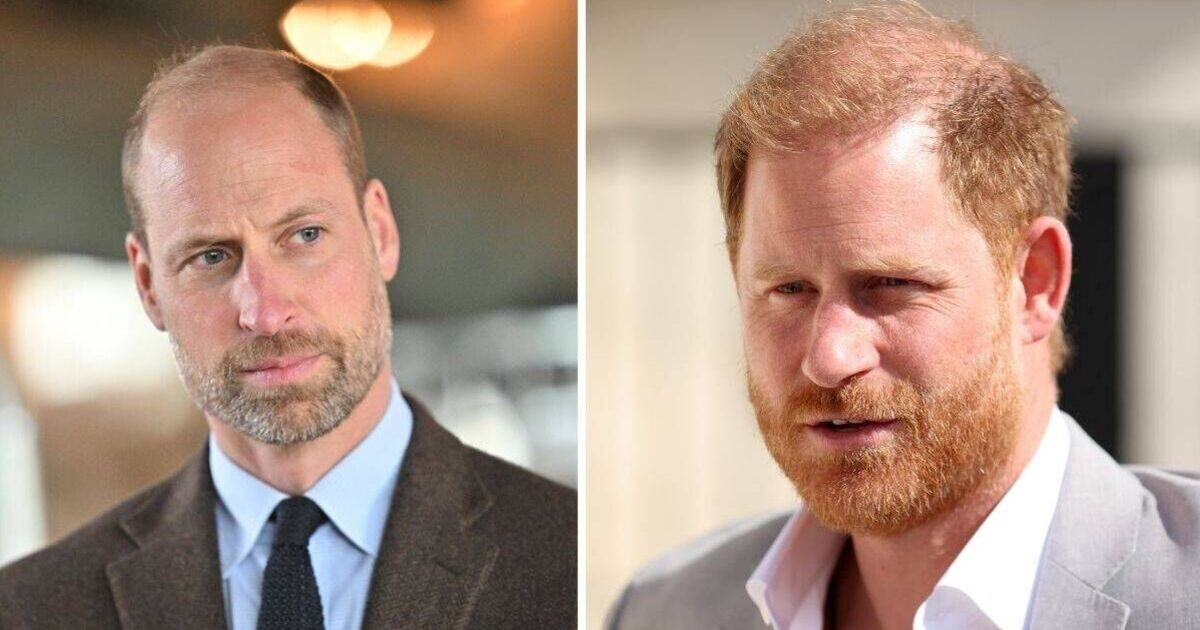 Prince William and Harry's 'ugly feud' began over Meghan security, book says