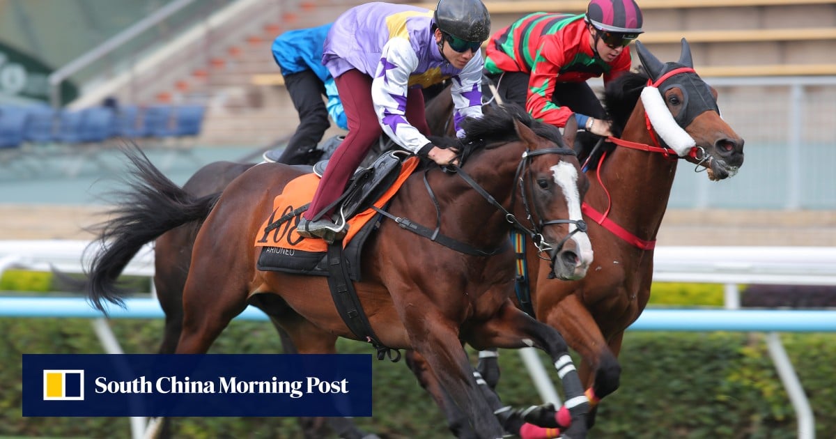 Who wins at Sha Tin? Gabriel to sprout wings en route to Hong Kong Derby