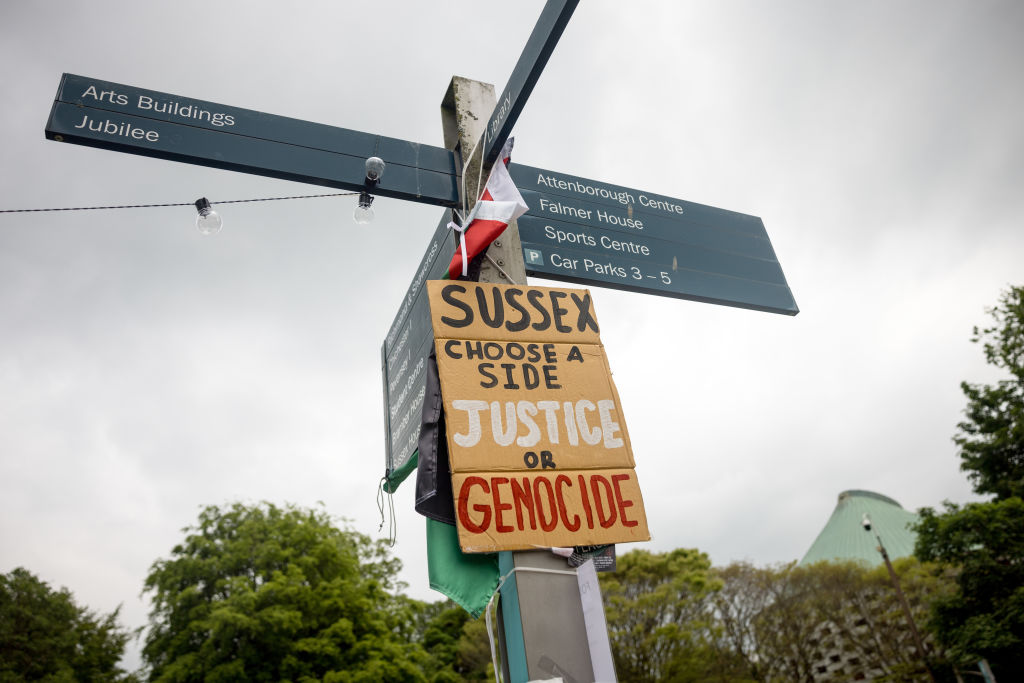 The University of Sussex must stop force-feeding students bad history