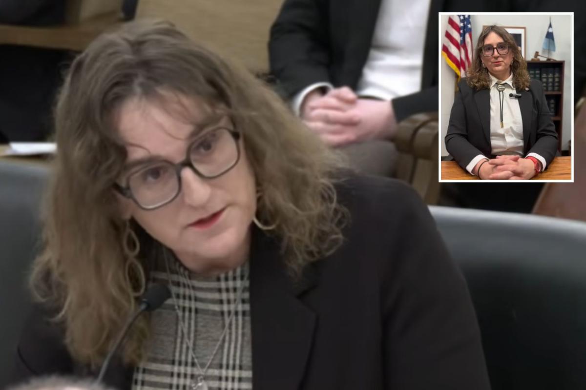 Trans Minnesota Dem bizarrely argues 'queer' kids need access to porn...