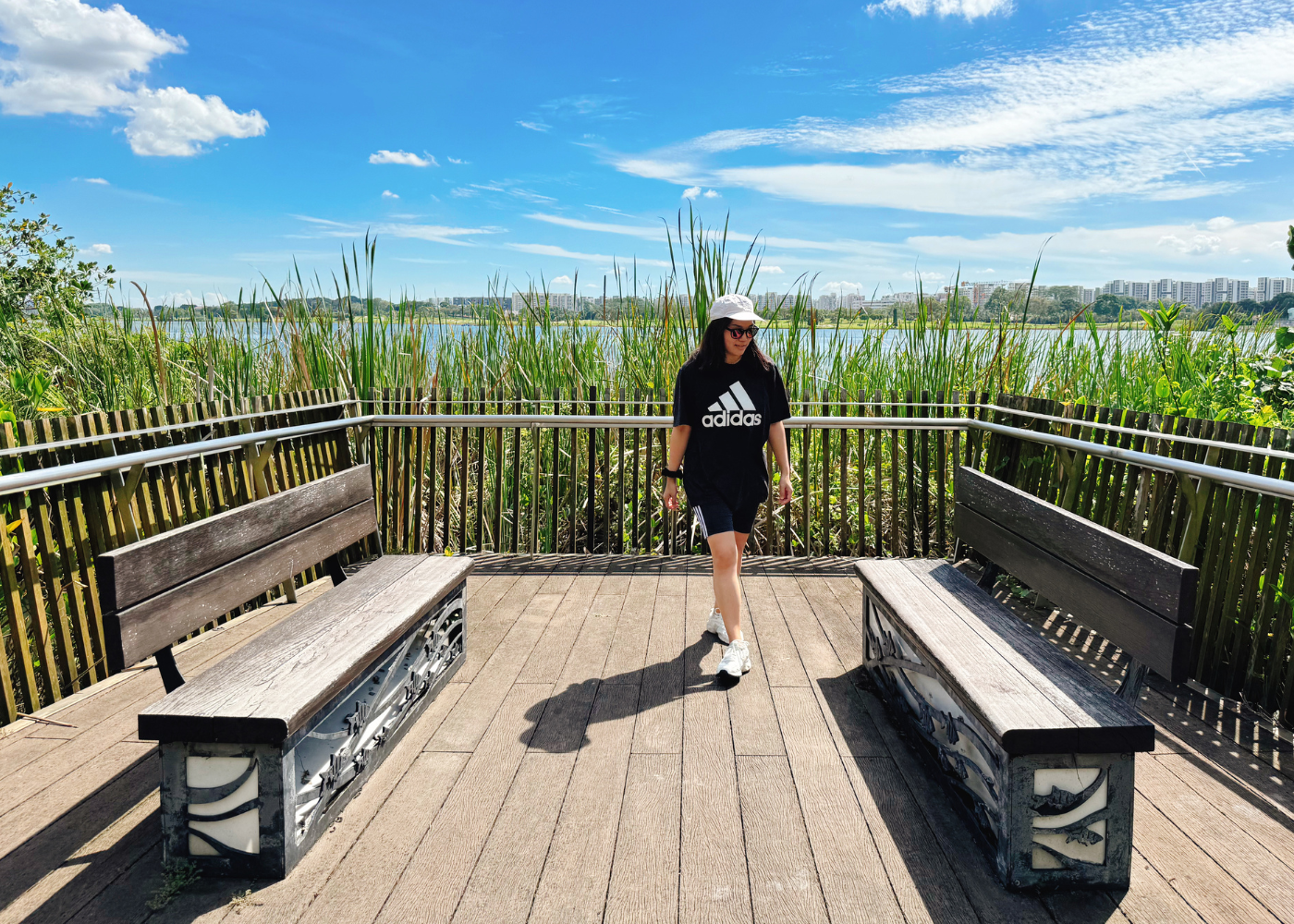 23 lush hiking trails in Singapore: From easy to challenging