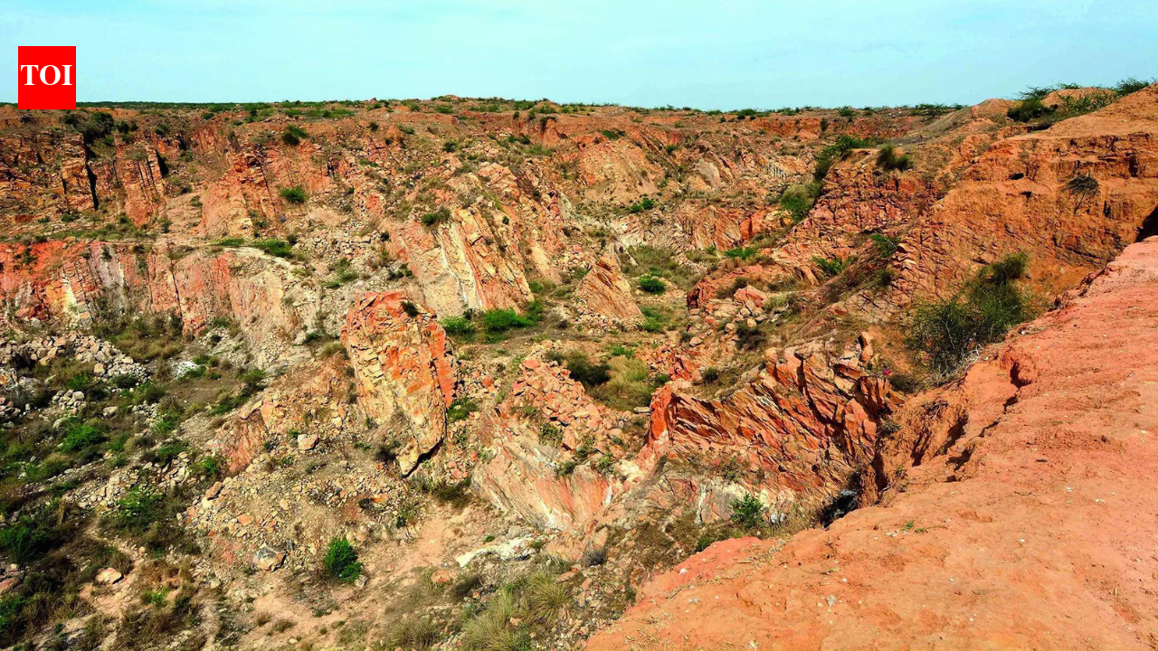 SC seeks experts for panel on Aravalis; mining ban to continue