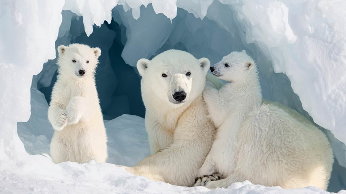 Revealed: Stunning snaps named as Sony World Photography Awards finalists