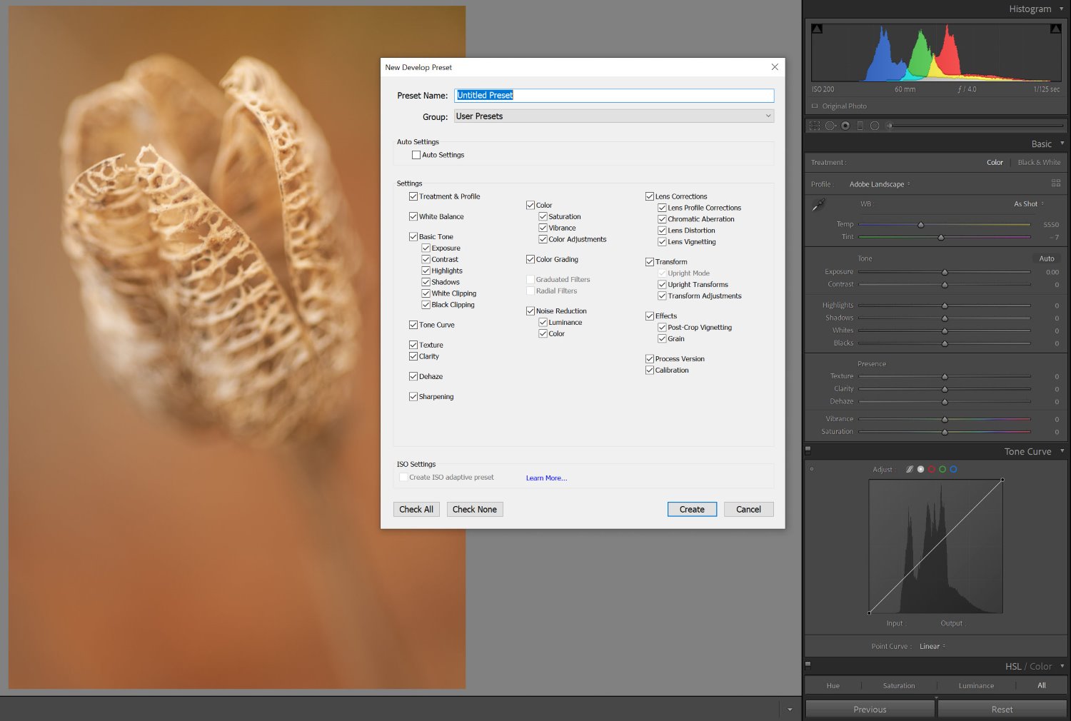How to Create Your Own Lightroom Presets (Step By Step)