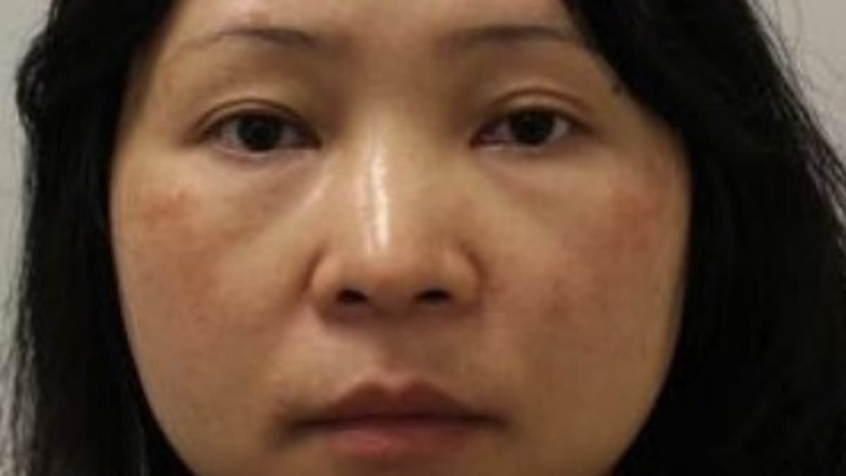 The rise and fall of the Chinese 'Bitcoin queen': How takeaway worker drove an E-Class Mercedes-Benz, splashed cash in Harrods and enrolled her son at a £6,000-a-term prep school before her jet-set lifestyle came crumbling down