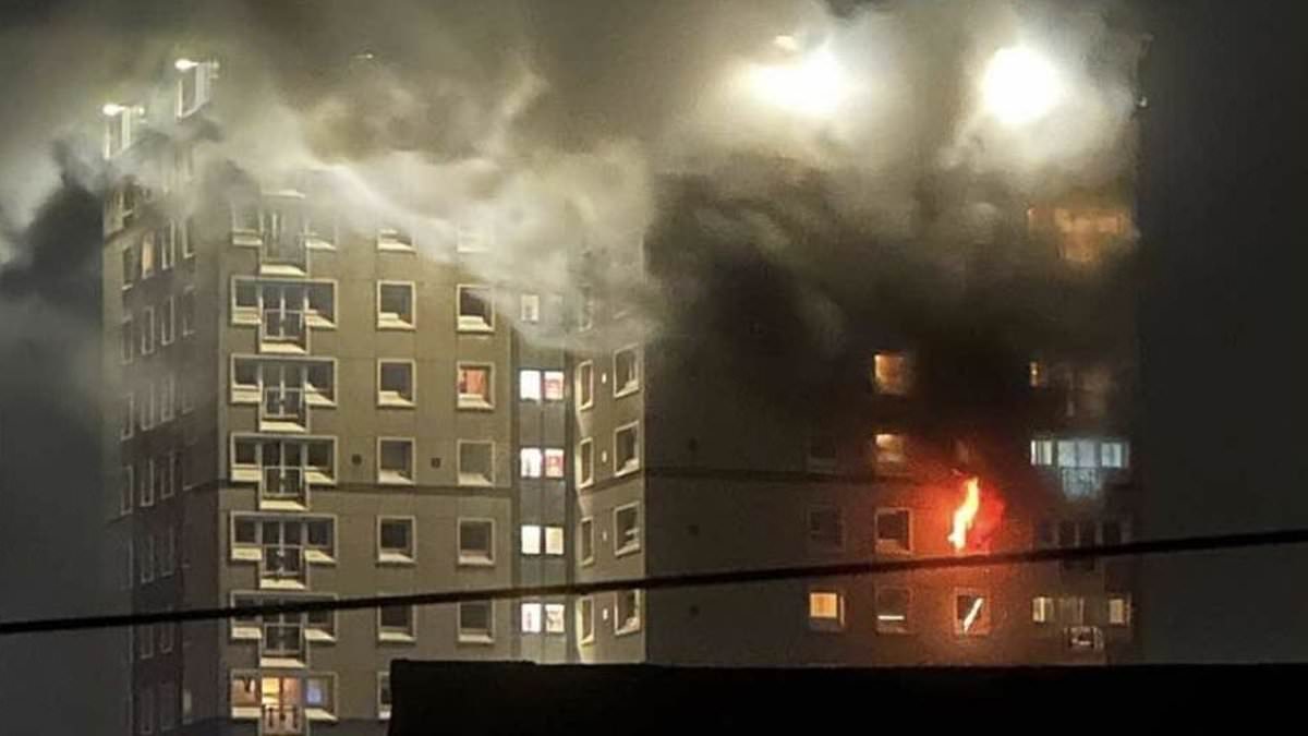 Man dies falling from window during tower block fire