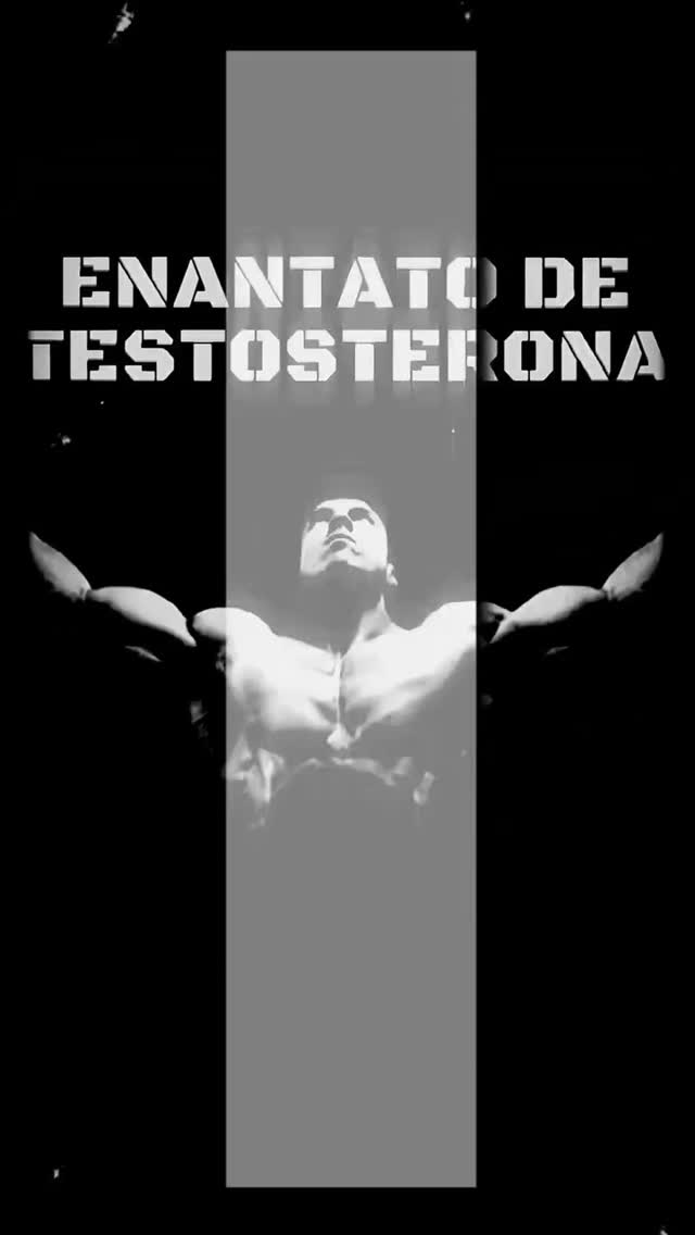 A Testosterona Enantato é um dos esteroides anabólicos mais utilizados tanto para reposição hormonal quanto em ciclos de...