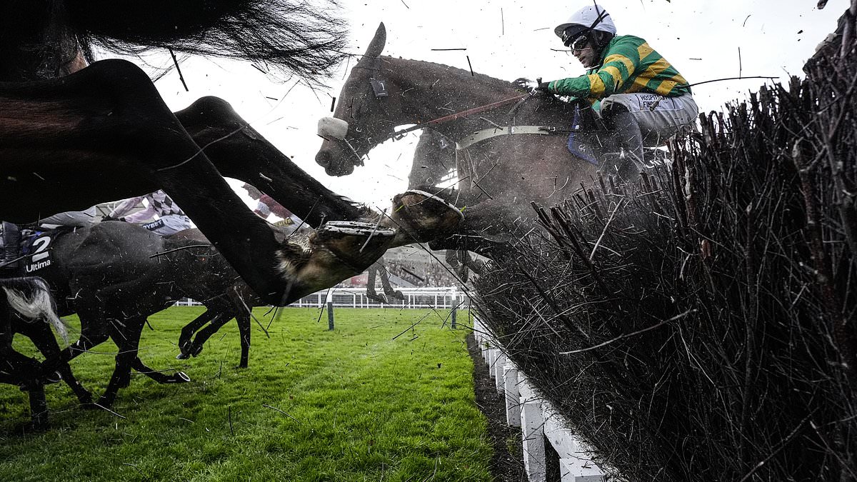 Cheltenham Festival LIVE: Tips and results from Ladies Day as L'Eau Du Sud and Majborough star in Champion Chase