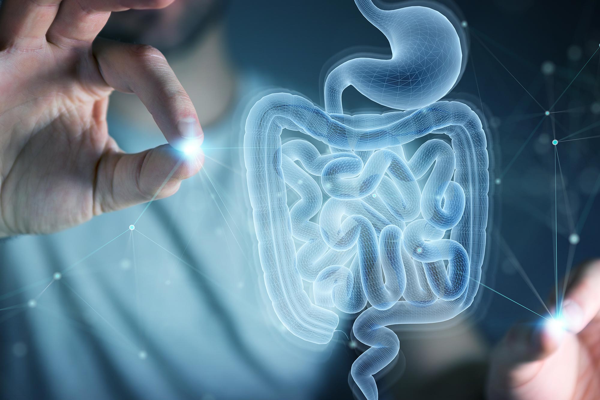 Scientists Reverse Key Signs of Gut Aging With Surprising Biological Transfer