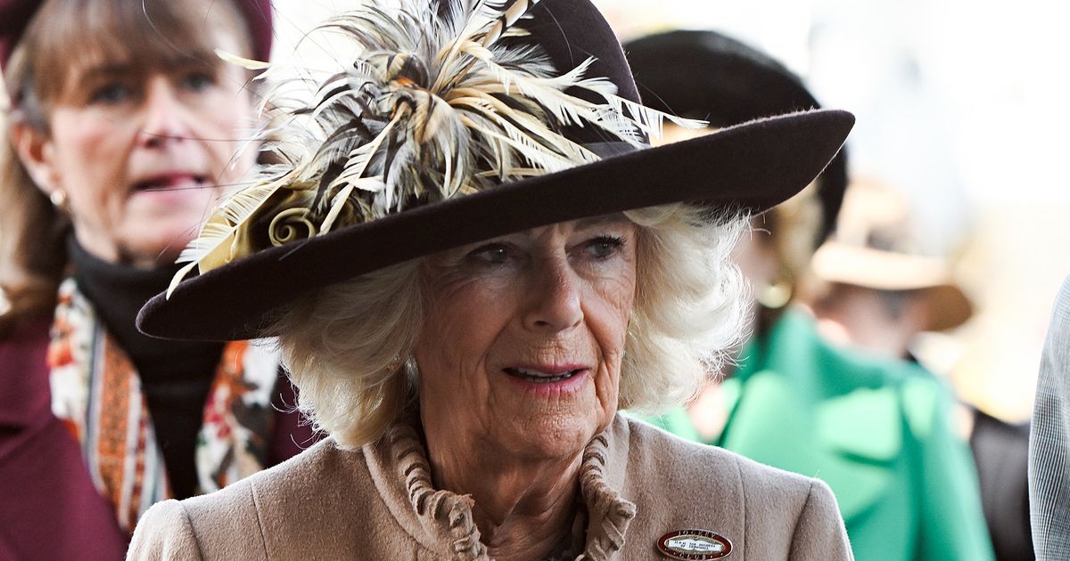 Queen Camilla's bombshell 'claim that Meghan Markle brainwashed Prince Harry'