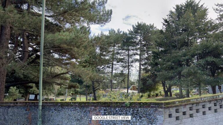 Woman, 28, charged with murder over death of man in park