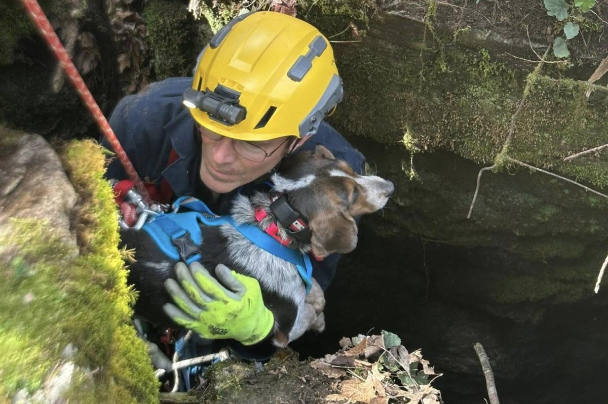 Look: Firefighters rescue dog from deep cave in Kentucky