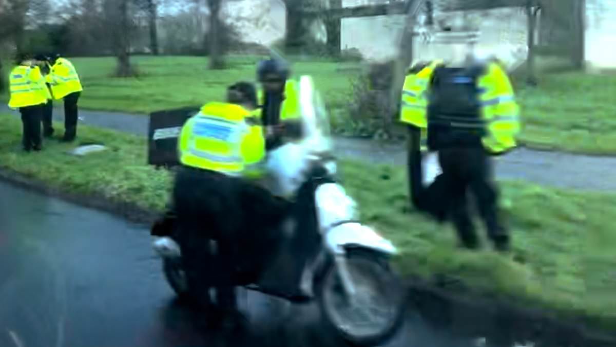 Illegal delivery driver crackdown as two immigrants arrested and 19 vehicles seized by Met Police and Home Office officials in leafy London suburb