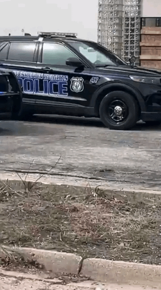 Woman in handcuffs escapes from the back of a police cruiser