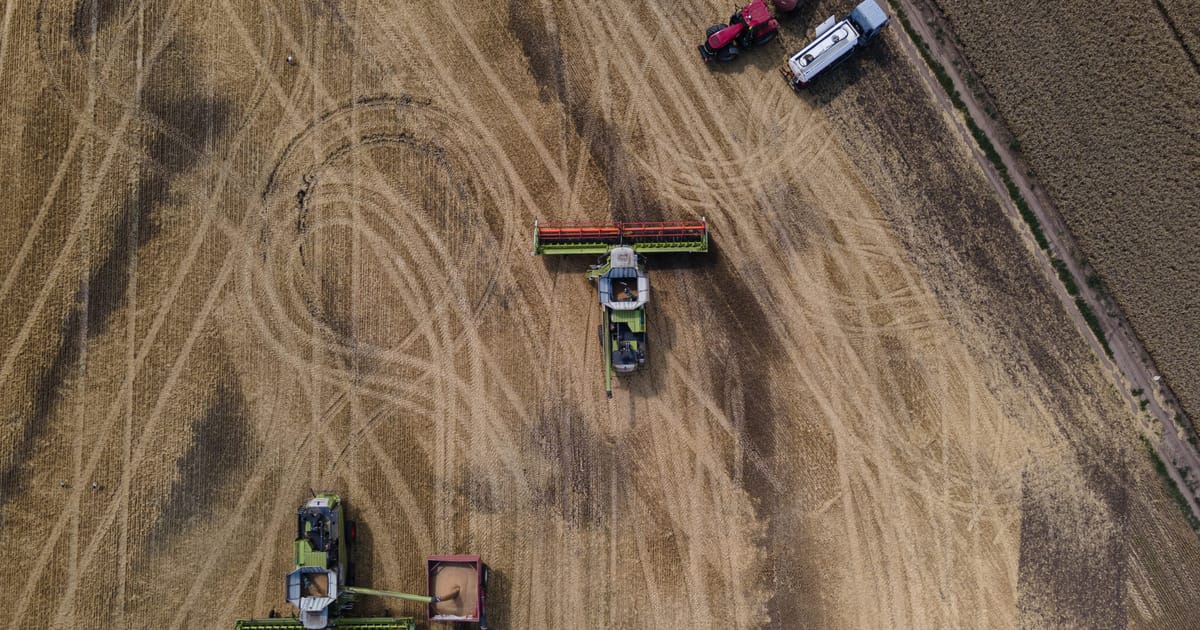 Egypt won’t accept Ukrainian wheat exported by Russia, Zelenskyy says