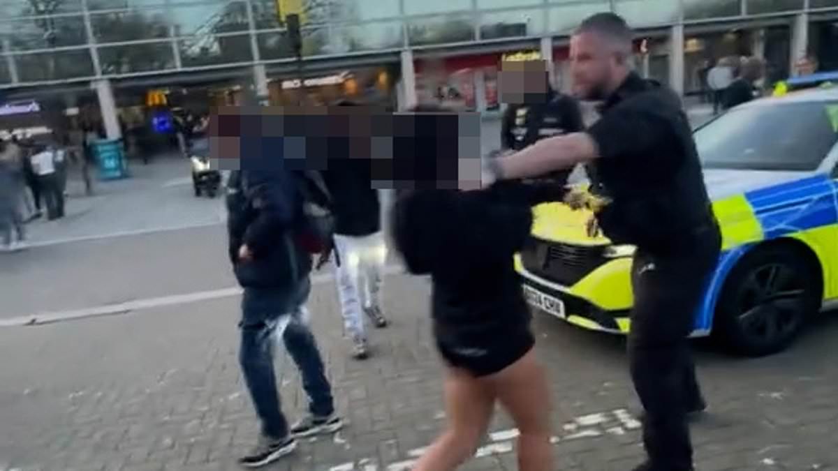 Easter Egg hunt sparked fight between yobs and police in Milton Keynes days after disorder in Clapham