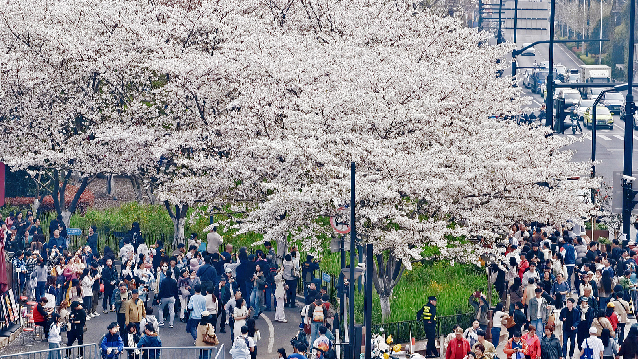 China's travel &amp; consumption surge during Qingming Festival holiday