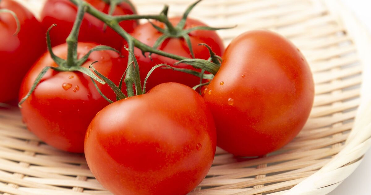 Incredible new 'super tomatoes' might finally cure long running health problem