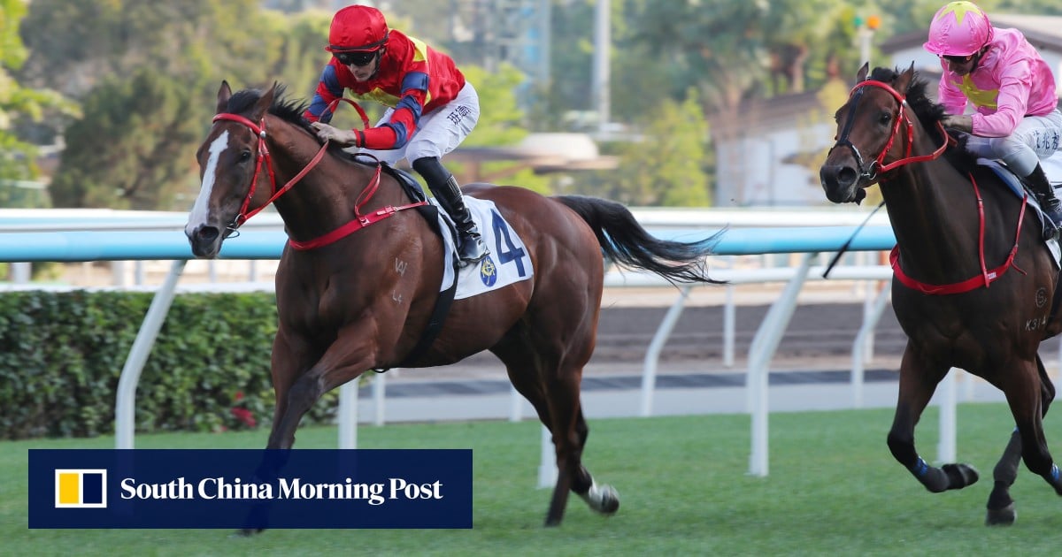 Harry Bentley tees up two good chances in Smart Golf and Elite Golf at Sha Tin