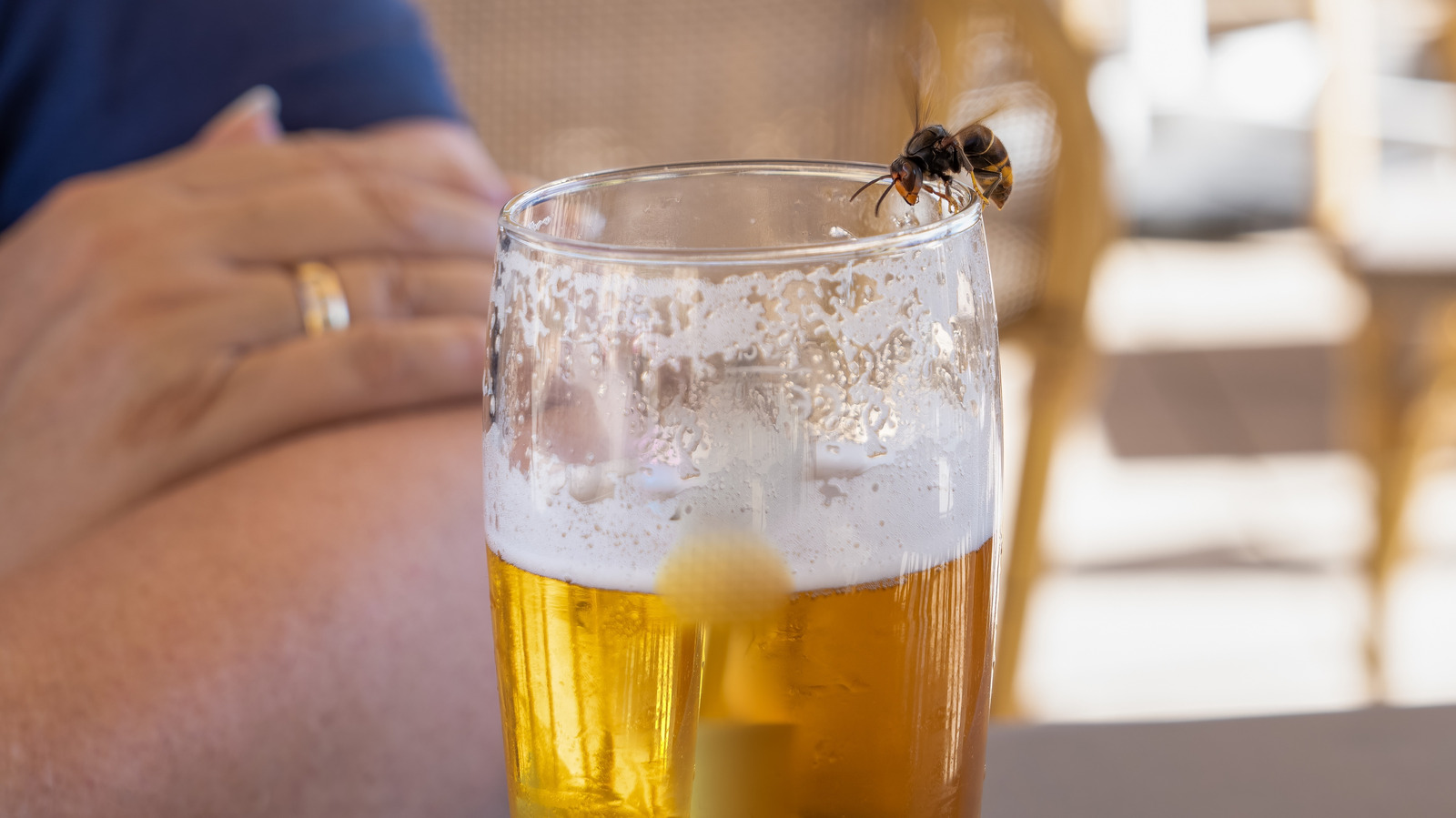 6 Benefits Beer Brings To Your Garden