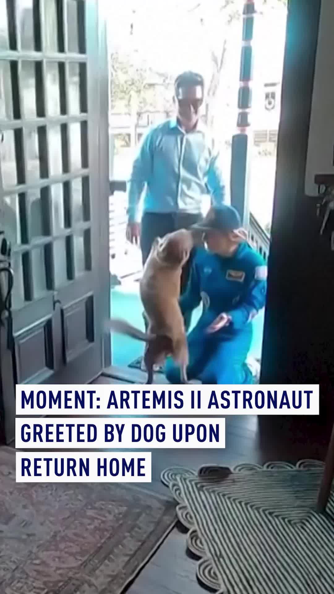 Artemis II NASA astronaut Christina Koch reunited with her dog, Sadie, after a historic 10-day space mission. The 47-year-old was part of a four-member crew that traveled 406,771 km from Earth, further into space than any previous human flight. An Instagram video captured the moment Koch, in her flight suit, embraced her dog. This followed the splashdown of NASA's Orion capsule, Integrity, off Southern California at 5:07 p.m. Pacific Time, ending the first human lunar voyage in over 50 years. Covering 1,117,515 km including a lunar flyby, Artemis II was the first crewed test for missions targeting a 2028 moon landing. #NASA #spacetravel #dogs #artemis #animals
