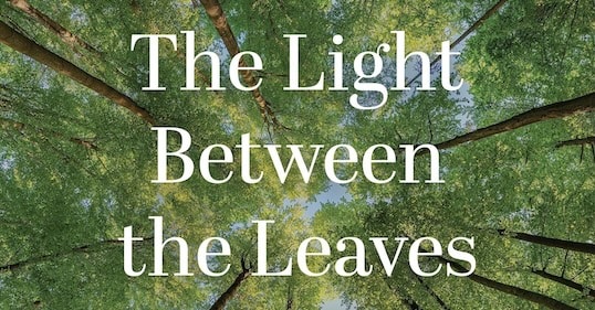 Podcast #1,113: Truths Your Therapist Won’t Tell You About How to Get Your Mind Right