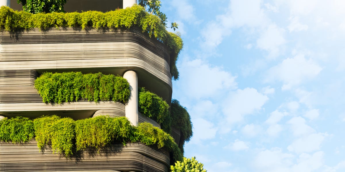 Scientists Think They Could Design Entire Cities That Heal Your Brain