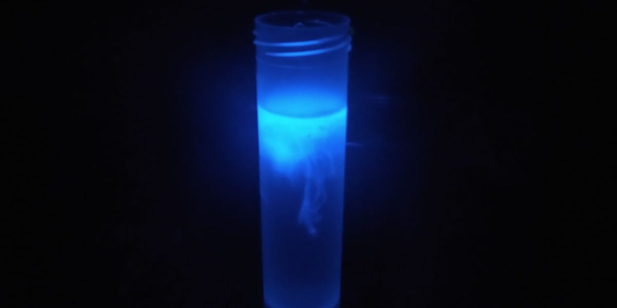 Two Men Stole a Glowing Blue Cylinder in an Abandoned Hospital—and Unleashed a Nuclear Nightmare