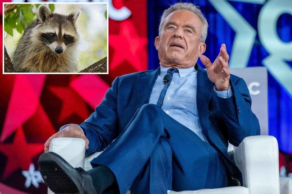 RFK Jr. once chopped off a dead raccoon's penis to 'study later' while on a family road trip