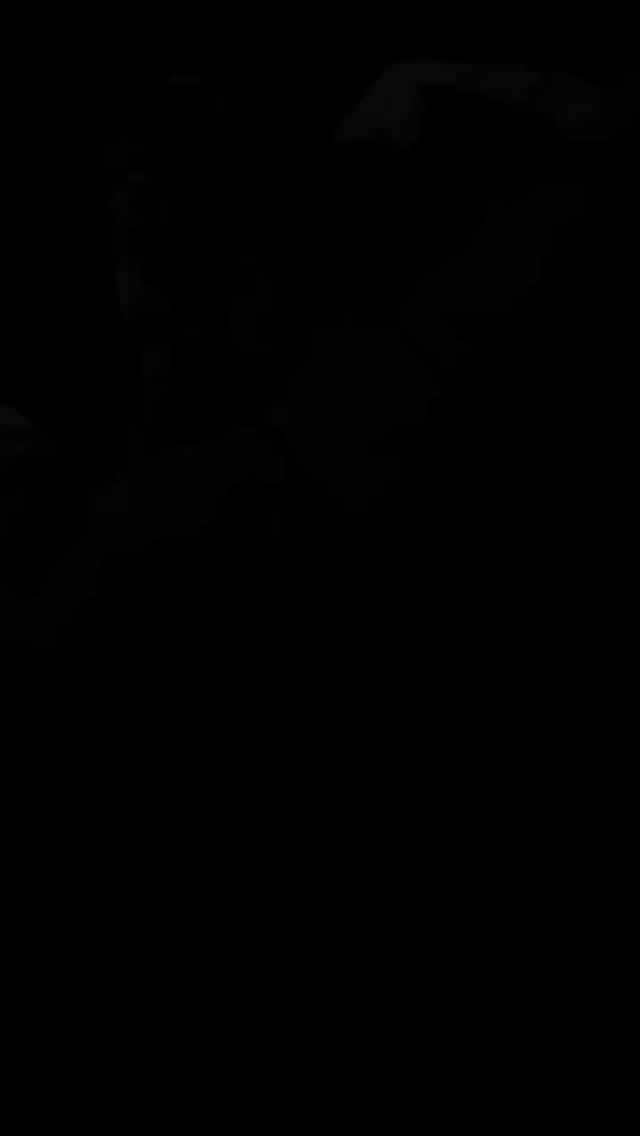 Quando a dose, o timing e o seu estado fisiológico estão alinhados, a Oxandrolona esculpe. Quando não estão, ela destrói...