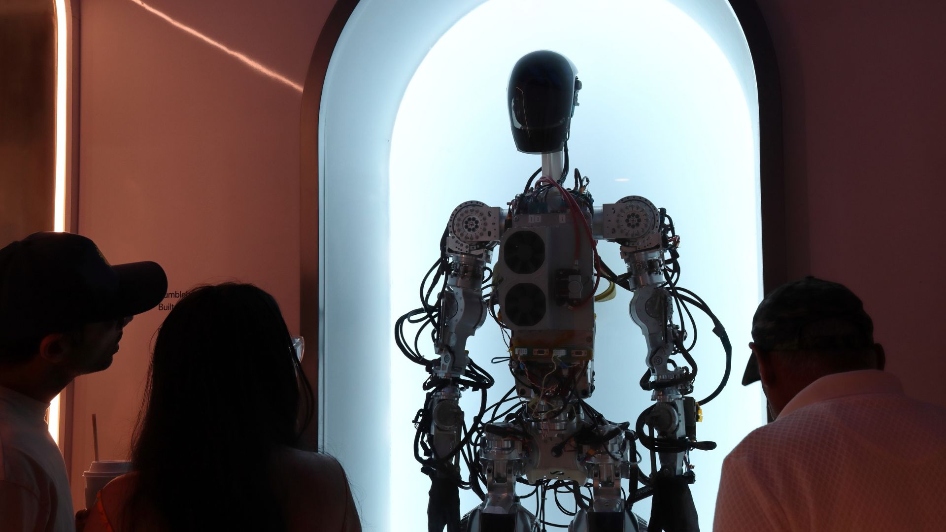 Elon Musk wants the government to pay you when his robots take your job