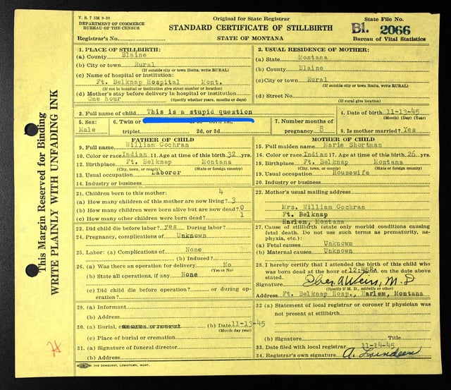 I think whoever filled out this 1945 certificate of stillbirth was going through some things.