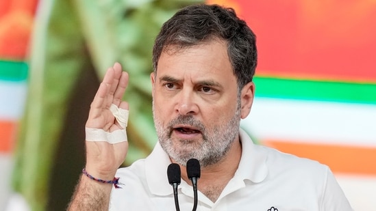 Allahabad high court defers order for FIR on Rahul Gandhi in dual citizenship case
