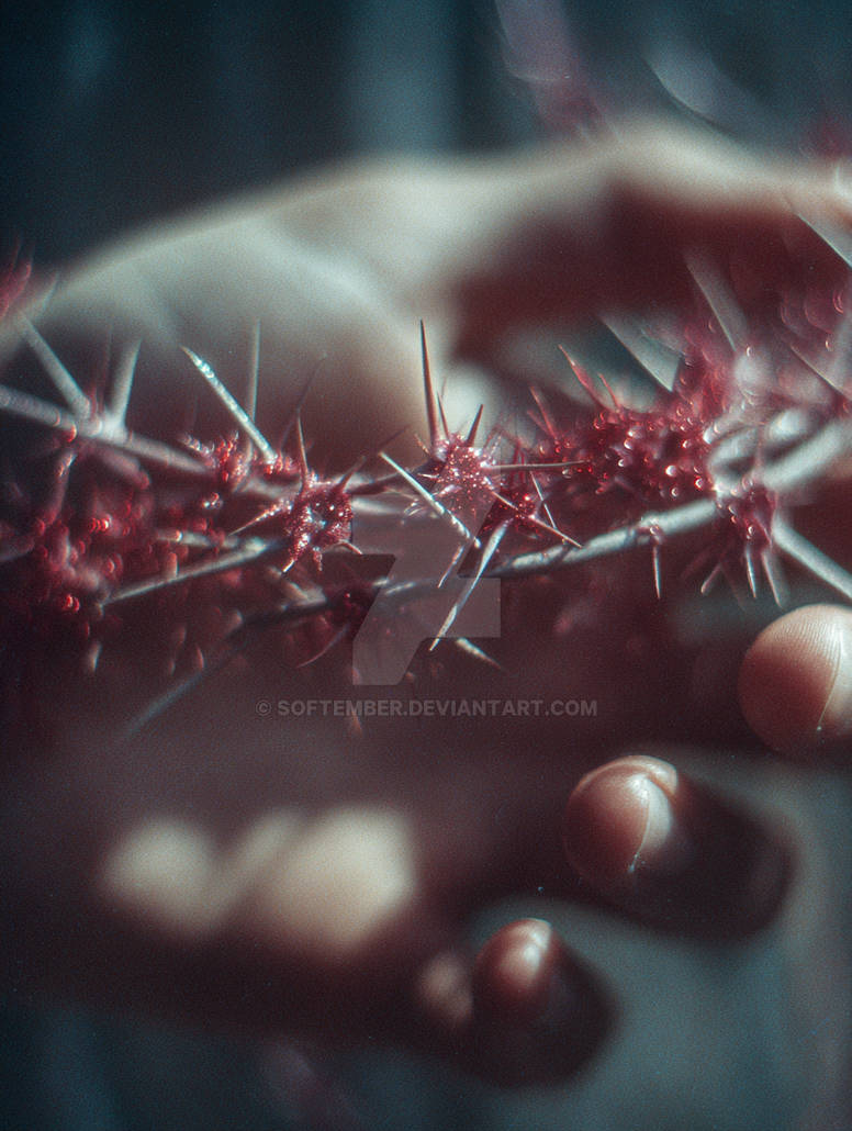Where the Glass Thorns Bloom by softember on DeviantArt