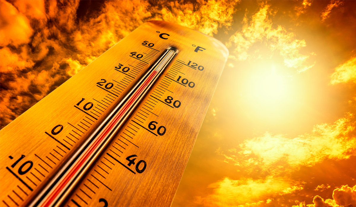 Gorse fire brought under control in South East as warning remains in effect