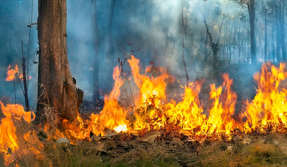 Orange warning: Fire risk as temperatures set to simmer