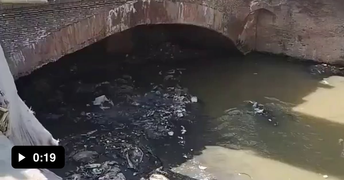 Meanwhile...in India.