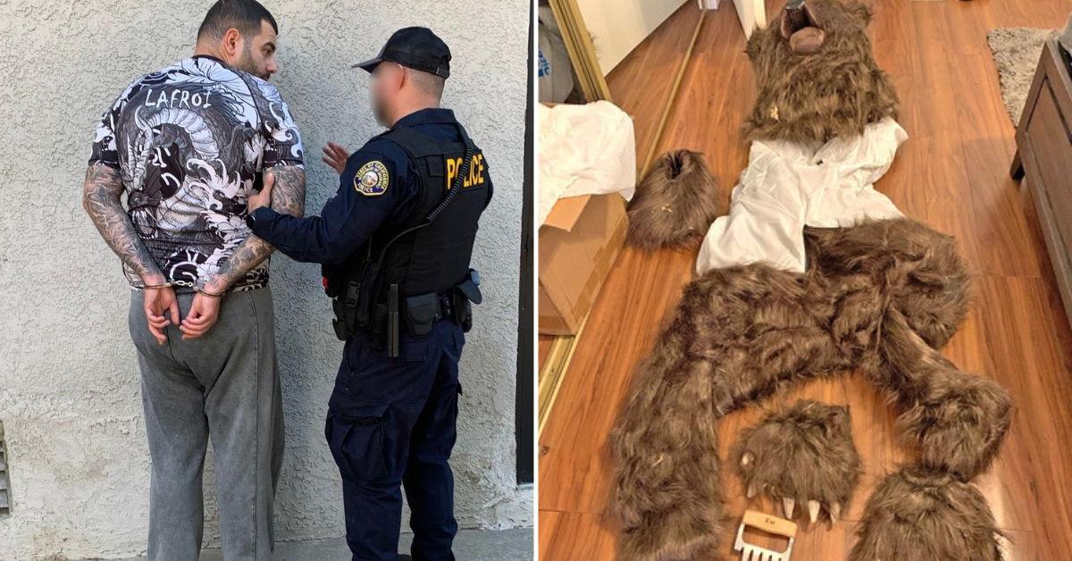 'Fake Bear' Attack Leads to Jail Time — Three California Residents Sentenced After Being Convicted of Insurance Fraud Scheme Using Animal Costume