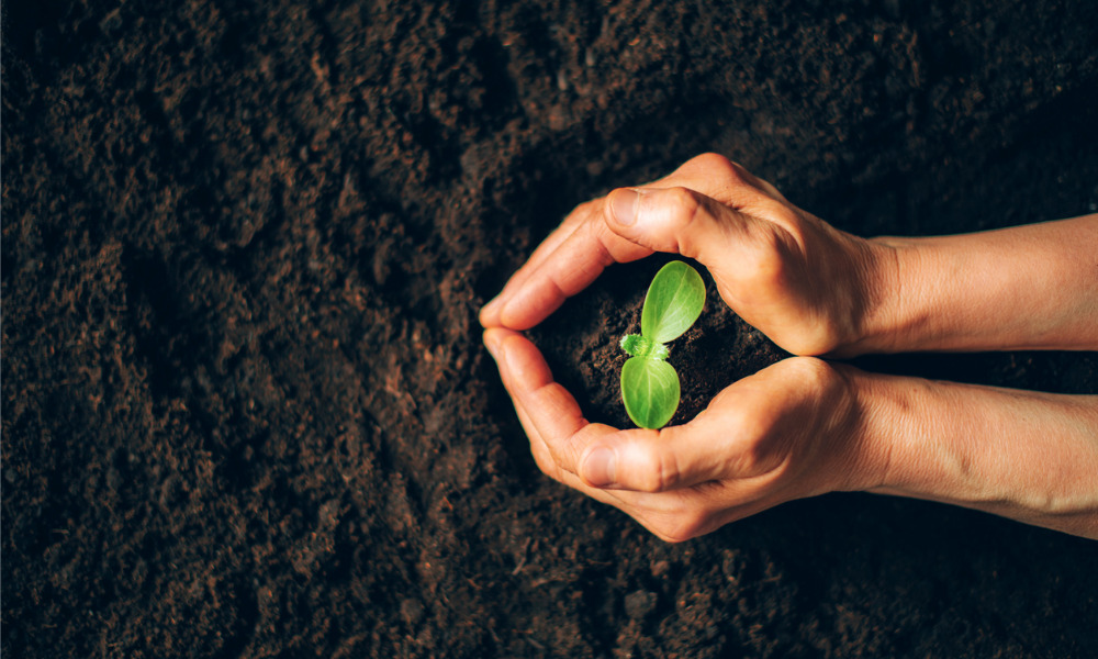 Nature investments could unlock billions for Canada while boosting environmental resilience