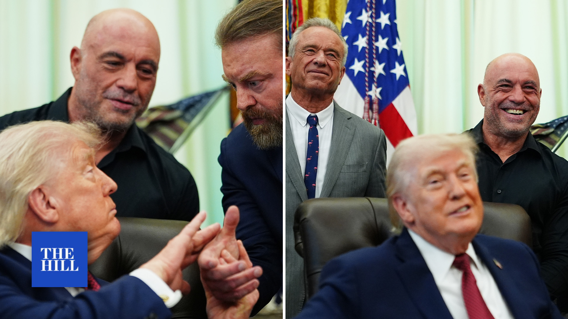 Joe Rogan joins Trump for signing of order to foster psychedelic drug research