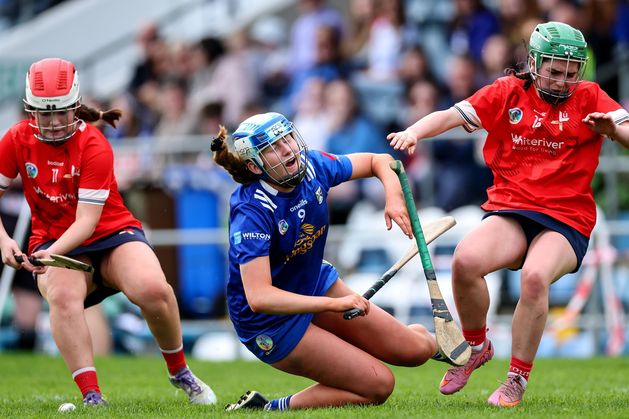 Cavan made to fight for All-Ireland Minor Camogie Championship title as Louth just lose out
