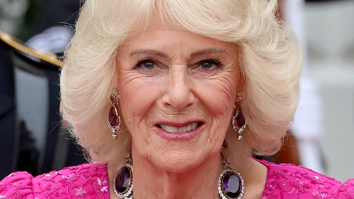 The hidden meaning behind Camilla's jewellery: How the Queen is supporting her husband during the US state visit with a VERY diplomatic brooch collection