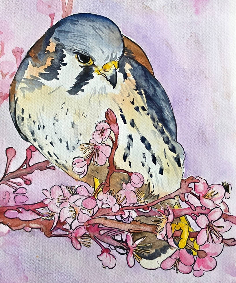 Romantic Spring Painting by PineSiskin on DeviantArt