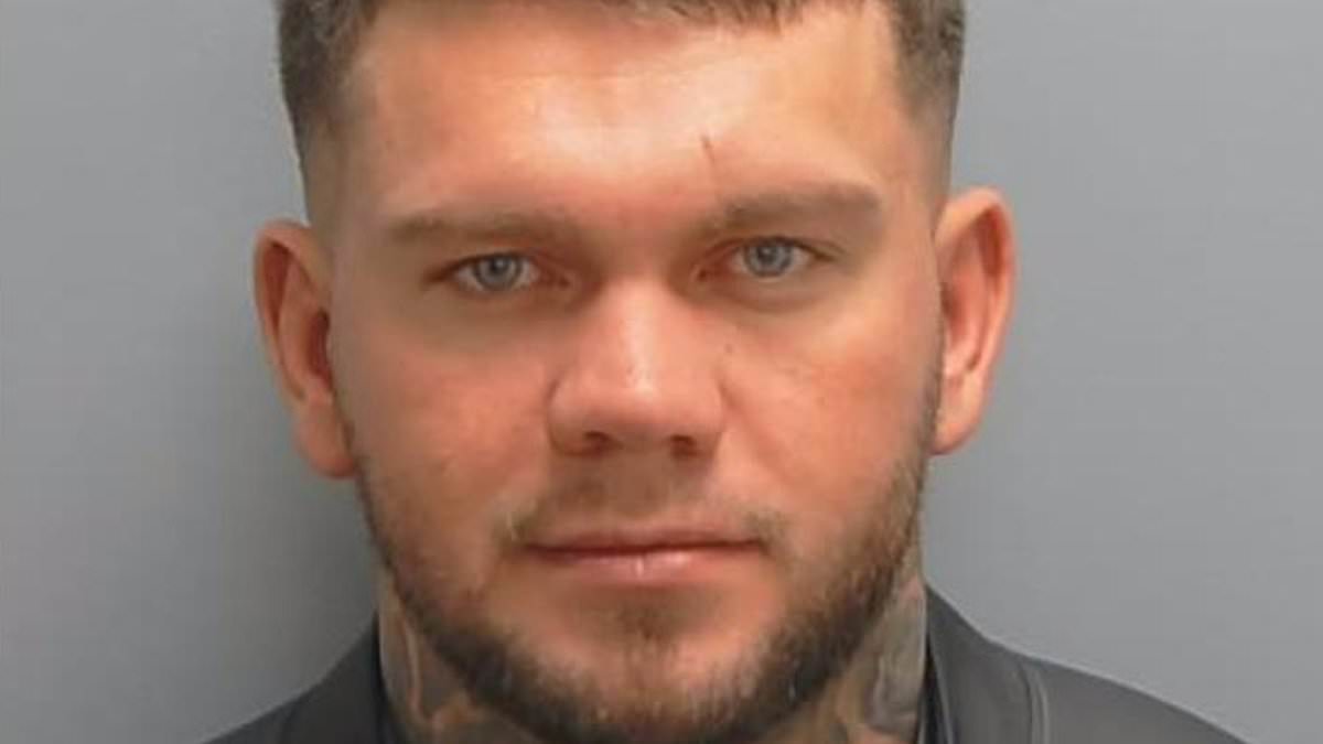 Speeding driver, 29, who went 'crazy' lengths to avoid justice including creating false identity and forging receipts is jailed
